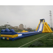 adult giant slides